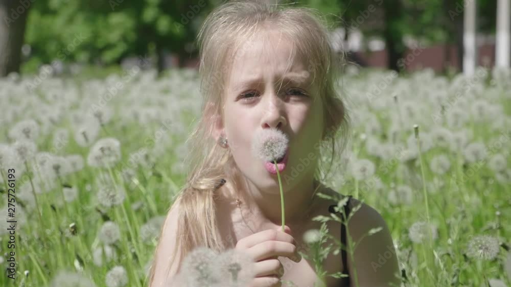 Cute little girl having fun looks at Dandelion seeds while relaxing in the park. Cute little girl having fun looks at Dandelion seeds while relaxing in the park.