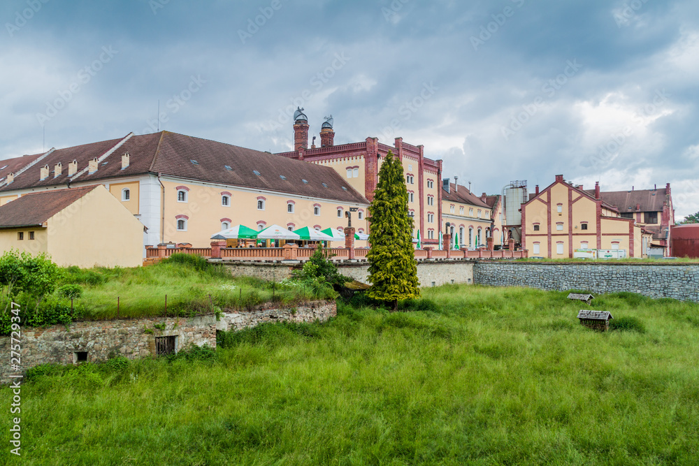 TREBON, CZECH REPUBLIC - JUNE 14, 2016: Building of Regent brewery in Trebon.
