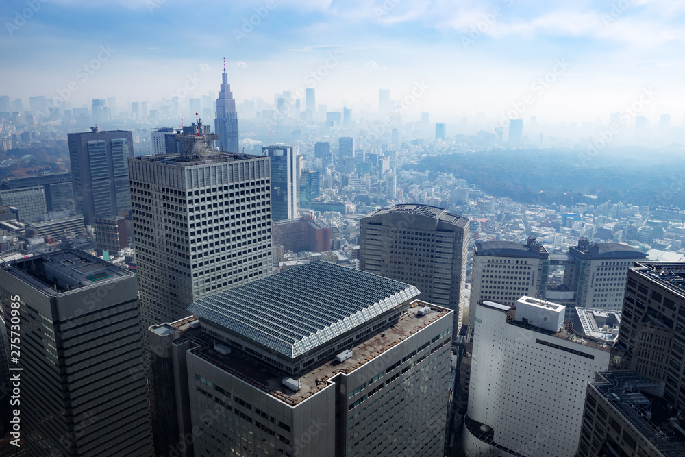 Fototapeta premium 【東京】・霧に包まれた朝