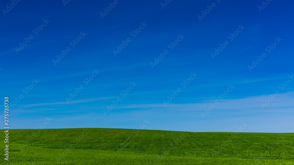 Naklejka premium Blue Idaho Skies