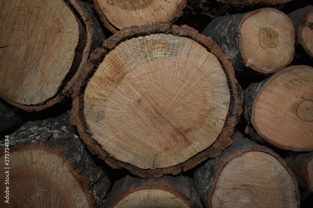 Naklejka premium log wood pile