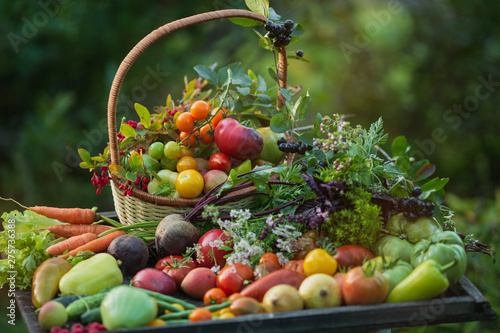 Still life of fresh vegetables in the fresh air on a natural green background