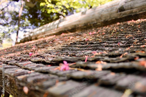 日本の家の屋根と桜 © Nagisa GOGO