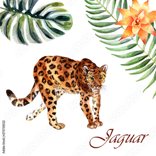 Watercolor jaguar isolated on a white background photo
