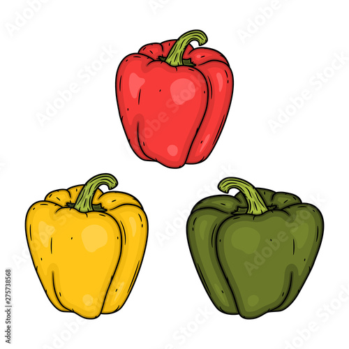 Set red, yellow and green pepper. Vector illustration. Isolated vector illustration of sweet pepper.