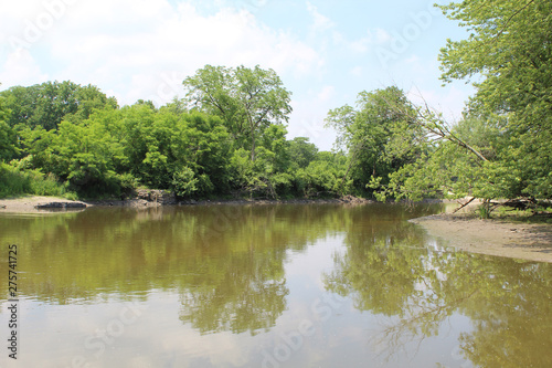 Des Plaines River at Camp Pine Woods in Glenview  Illinois in summer