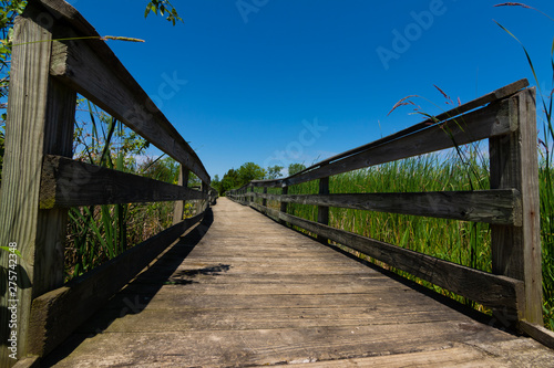 Wooden walkway