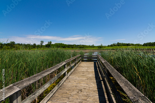 Wooden walkway