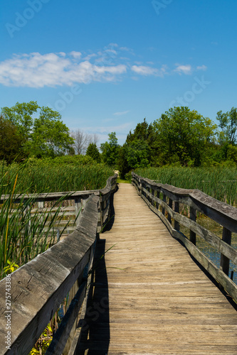 Wooden walkway