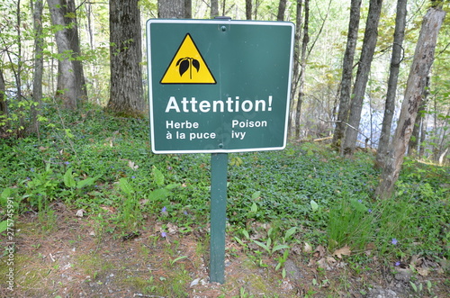 green attention poison ivy sign in French and trees