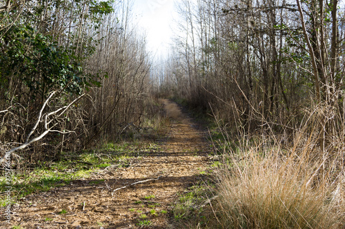 lonely path in the mountain of the mountain photo