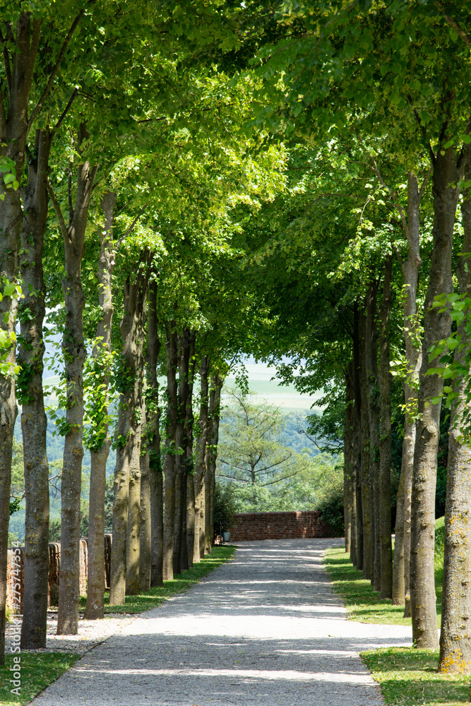 Springtime in Melk, a small town in the Wachau Valley in the Austrian Countryside west of Vienna