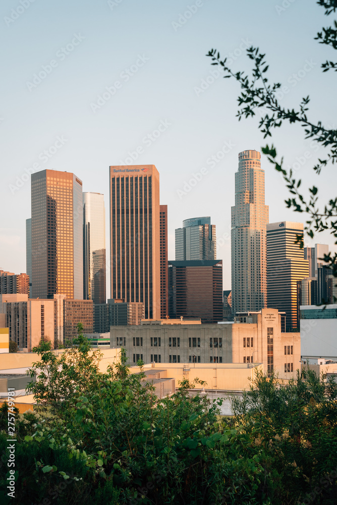 Fototapeta premium View of the downtown Los Angeles skyline from Vista Hermosa Natural Park