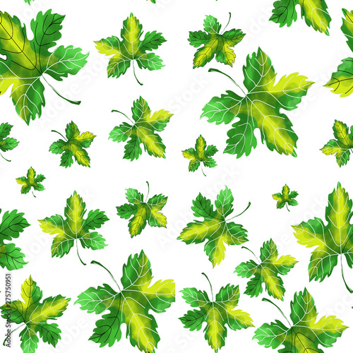 Maple autumn and summer leaves pattern. Bright and beautiful leaves of green and yellow. Suitable for printing on fabric and paper.