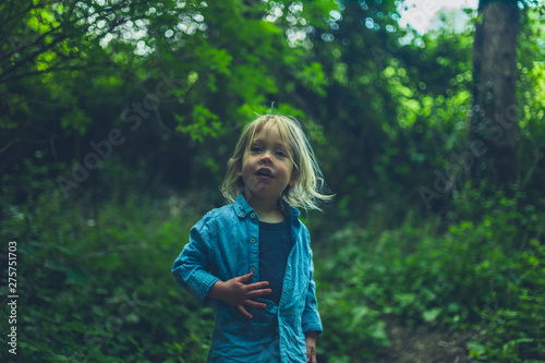 Little toddler standin in the woods photo