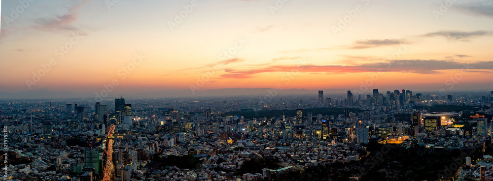 The most beautiful Viewpoint Tokyo at Night ,japan (panorama)