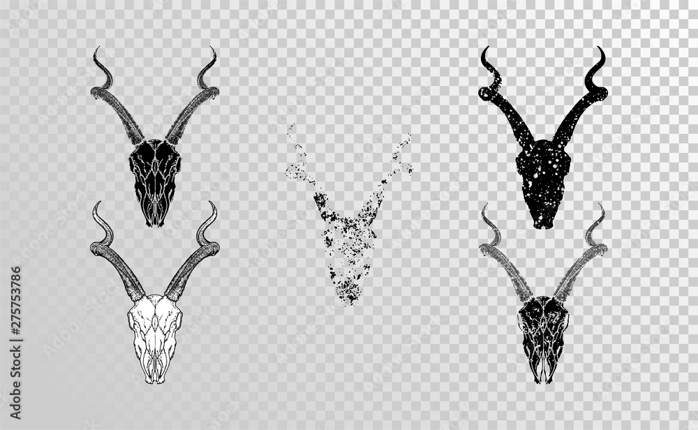 Vector set of hand drawn skulls antelope with grunge elements in