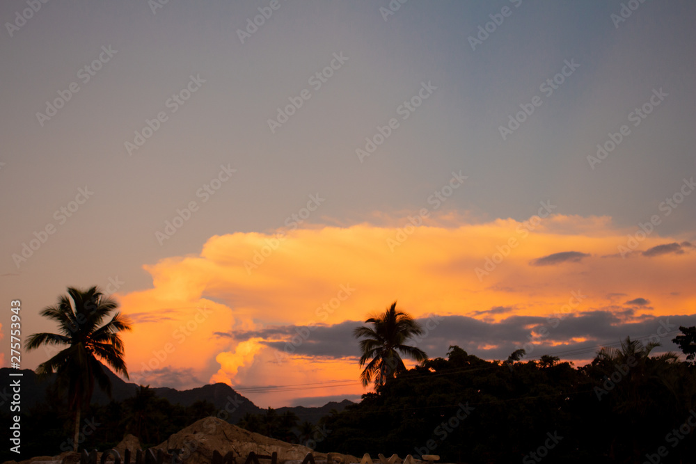 palm trees Summer tropical purple orange background