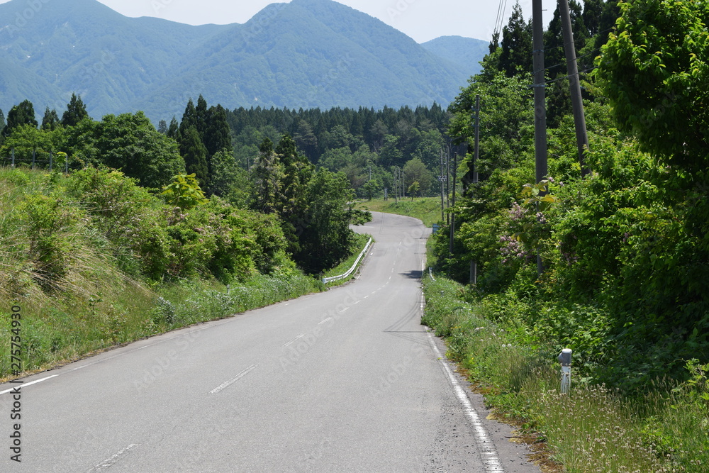 Obraz premium 山形県の山岳道路