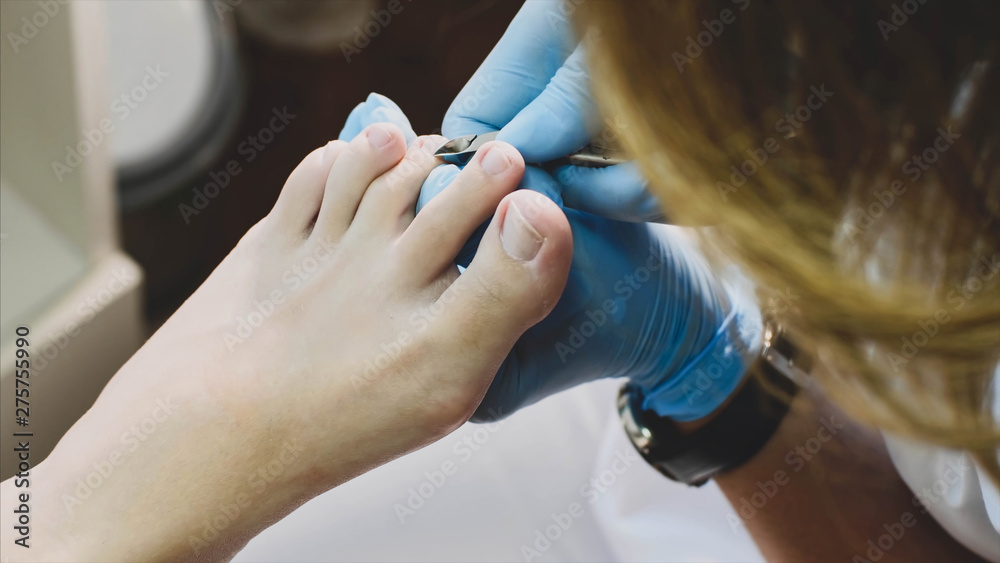 Obraz premium Pedicurist master is making pedicure for client woman in beauty salon. She is cutting cuticle with professional nail tongs on big toe, hands in gloves closeup.
