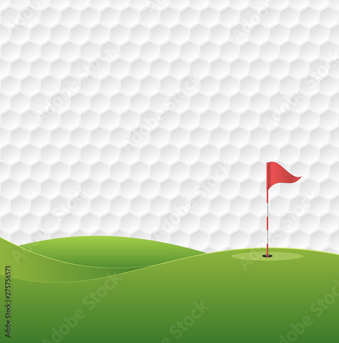 Golf background. Golf course with a hole and a flag