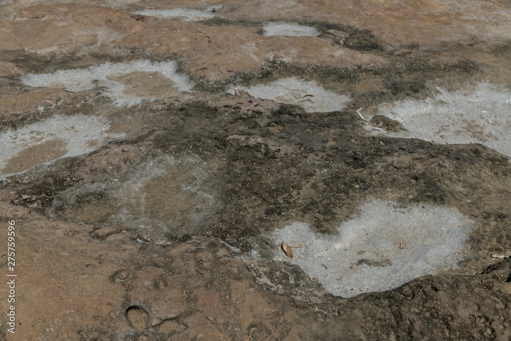 Obraz premium Sea salt drying up on rocks near the beach in the sun