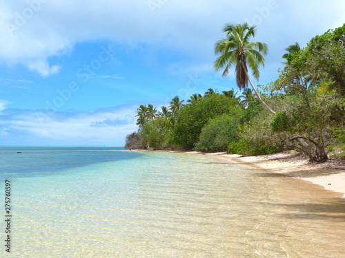 Exotic coral island with coconut palm trees, Romantic travel destination, Tonga photo
