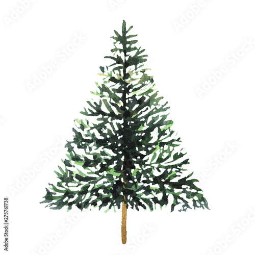 Watercolor green Christmas tree on white background. Isolated hand drawn elements for prints, cards.