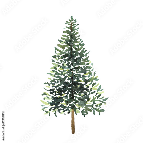 Watercolor green Christmas tree on white background. Isolated hand drawn elements for prints, cards
