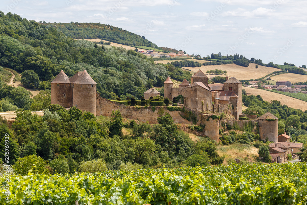 View to the medieval castle in Berze (Berze-la- Ville), France