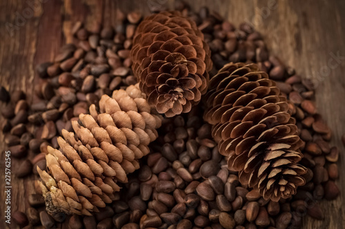 Beautiful cones on pine nuts in their shells. View top © art_rich