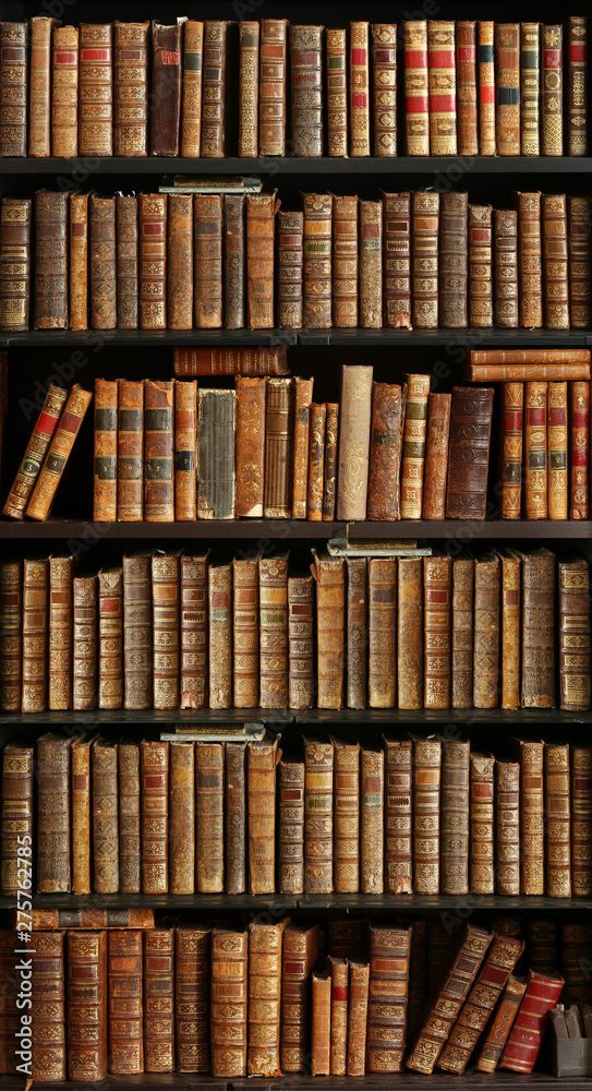 old books on wooden shelf - obrazy, fototapety, plakaty 