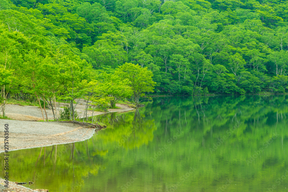 初夏の赤城山小沼