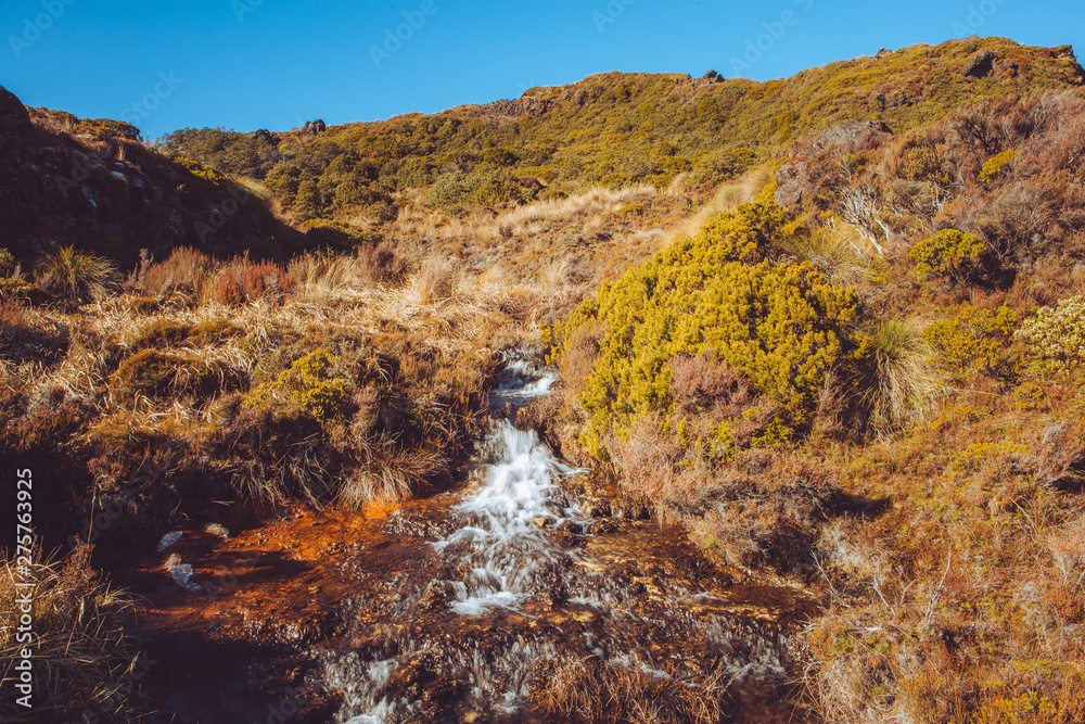 Sililca Rapids, Tongariro National Park 