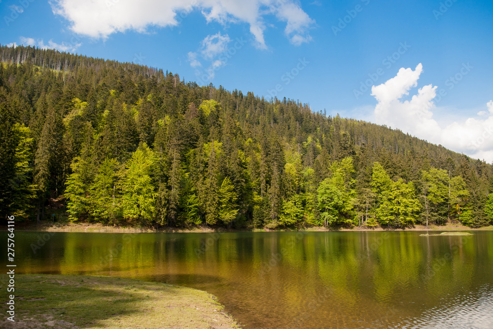 Obraz premium Sinevir lake. Volcanic lake in the Carpathian Mountains