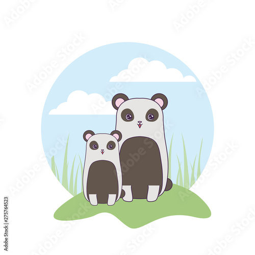 panda bears animals in landscape