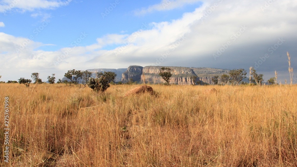 View Of Blyde River Canyon And Tropical Savanna Field In South Africa