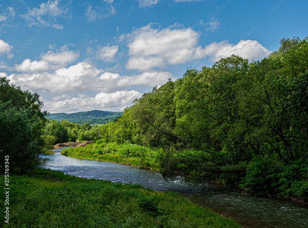 Aerial view of the mountain river flowing in the valley