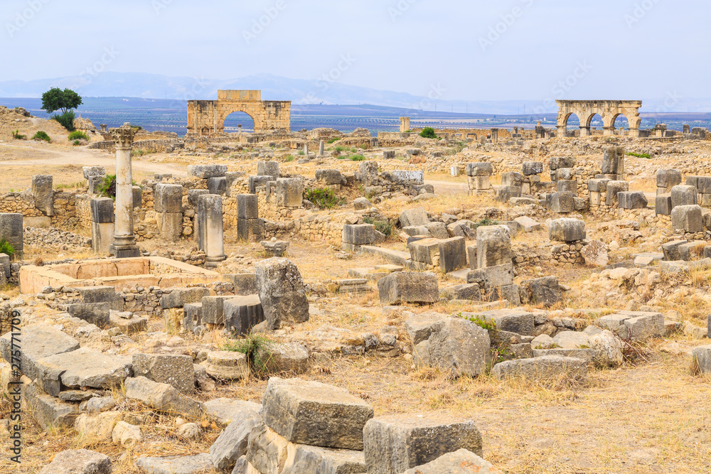 Site overview of the ruins of Volubilis, ancient Roman city in Morocco.