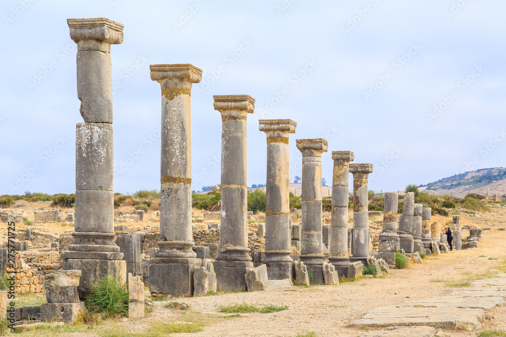 Row of pillars at the ruins of Volubilis, ancient Roman city in Morocco.