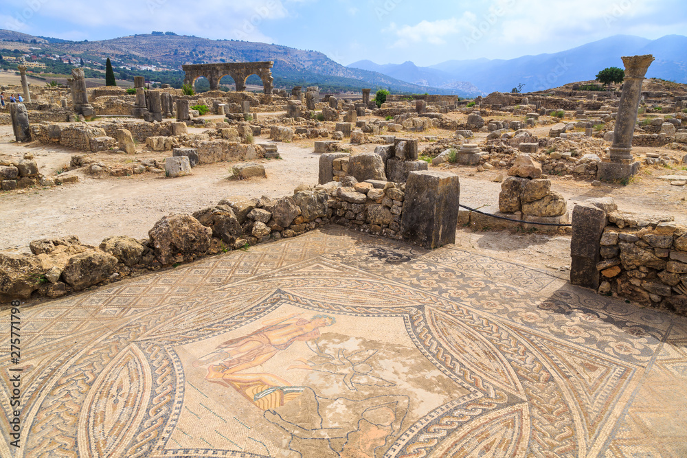 Mosaic floor at the ruins of Volubilis, ancient Roman city in Morocco.
