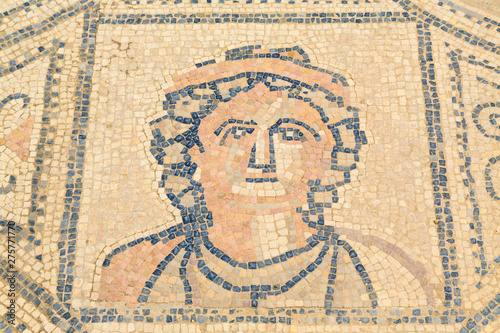 Mosaic floor at the ruins of Volubilis, ancient Roman city in Morocco.