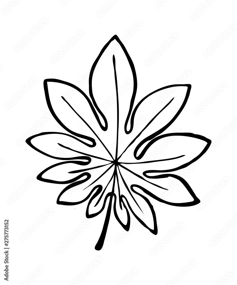 Black and white vector illustration of leaf on white background