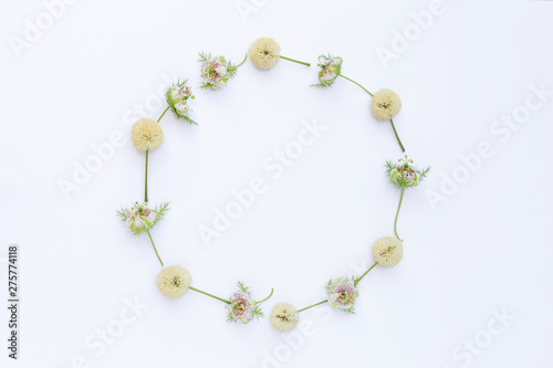 Fresh flower arrange in round frame isolate on white background