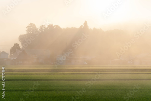田園の農家に降り注ぐ朝靄