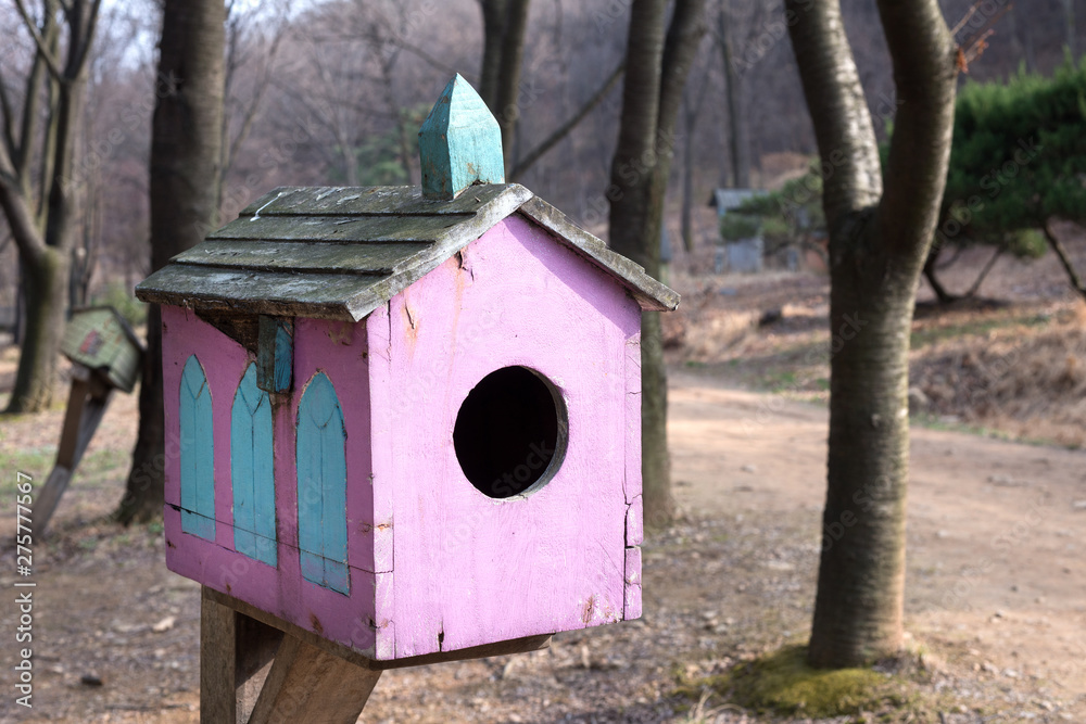 Wooden bird house in the forest.