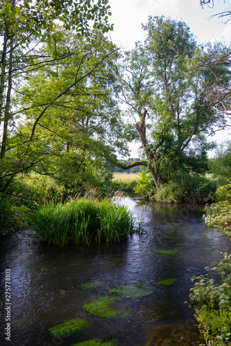 River Whitewater at Bramshill England © mubus
