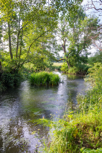 River Whitewater at Bramshill England