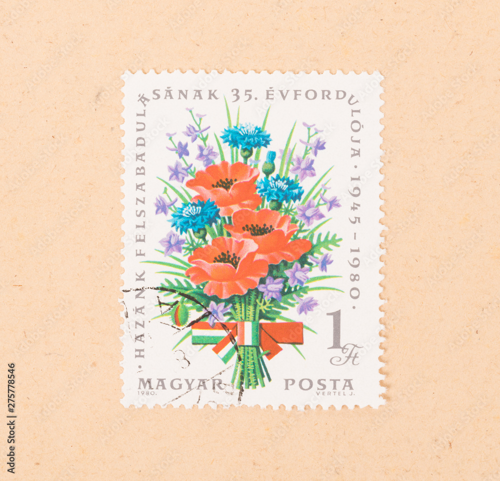 HUNGARY  - CIRCA 1980: A stamp printed in Hungary shows flowers, circa 1980