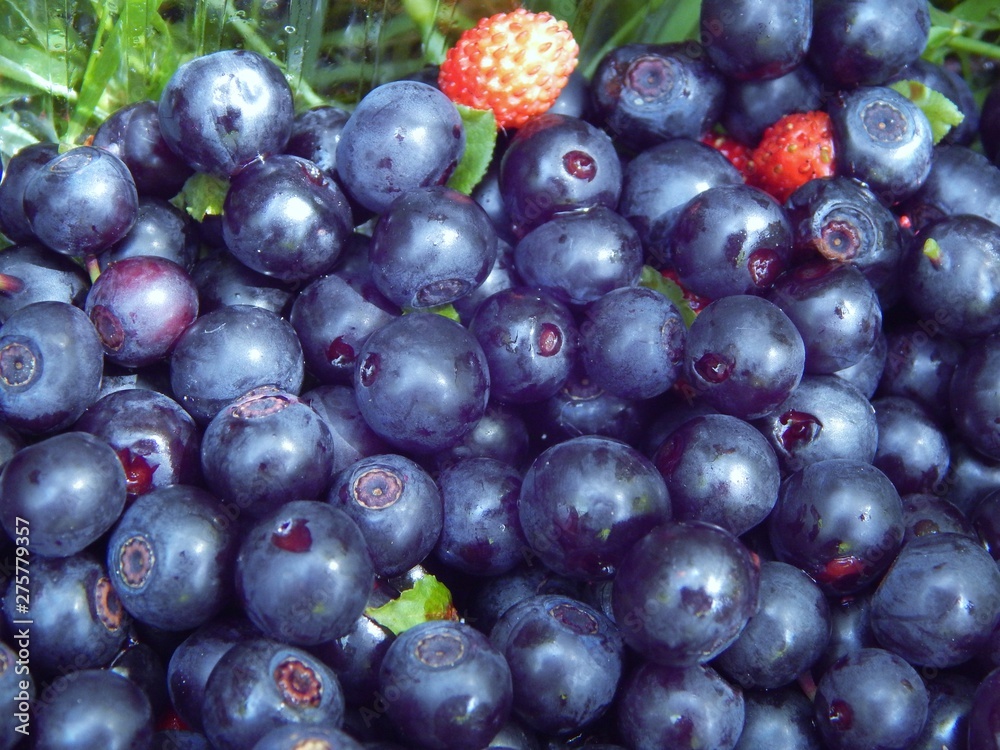 Ripe blueberries and wild strawberries as a source of vitamins: A, C, B1, B6, vitamin PP and antioxidants Ripe blueberries and wild strawberries as a source of vitamins: A, C, B1, B6, vitamin PP and antioxidants